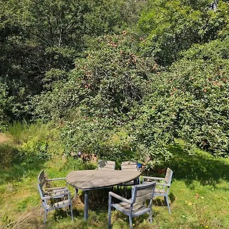 Wintergarten Eifeloase Am Rursee * روربيرغ