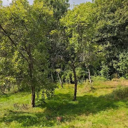 Wintergarten Eifeloase Am Rursee شقة *