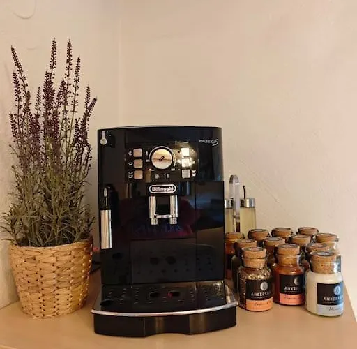 Wintergarten Eifeloase Am Rursee