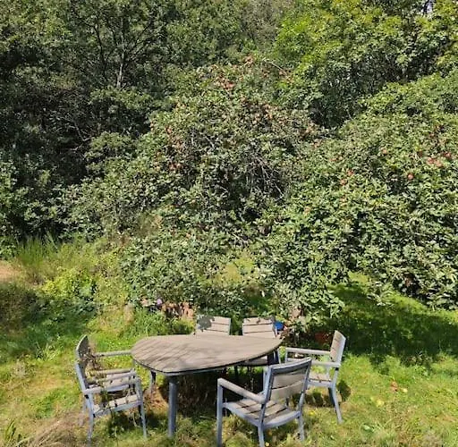 Wintergarten Eifeloase Am Rursee * Rurberg