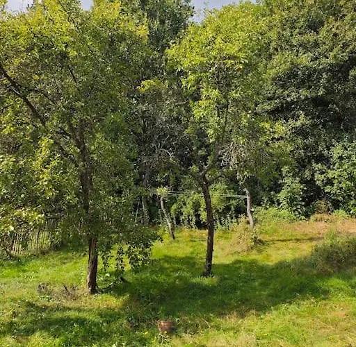 Wintergarten Eifeloase Am Rursee Appartamento *